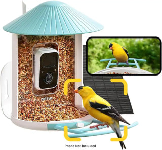 Netvue by Birdfy Smart Bird Feeder with Camera