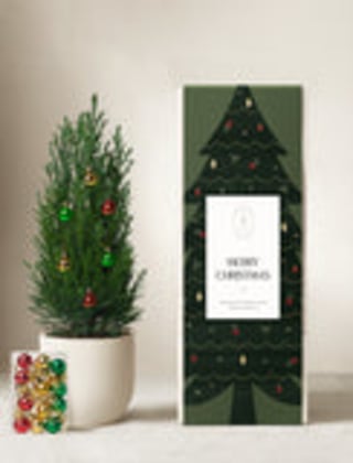 Lula’s Garden Mini Christmas Tree