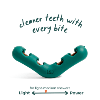 Woof The Bite n' Brush