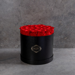 Lasting Brilliance 2-Dozen Roses In Black Box