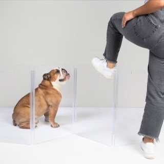 Hiddin Low Zig Zag Gate