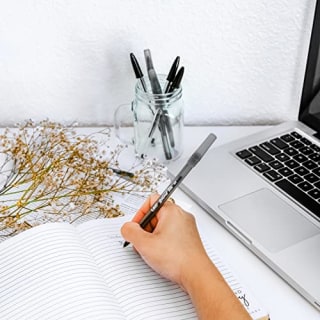 BIC Round Stic Xtra Life Ballpoint Pen