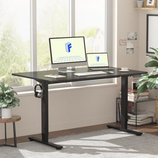 Flexispot Adjustable Desk