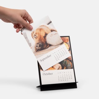 Artifact Uprising Brass Easel & Calendar