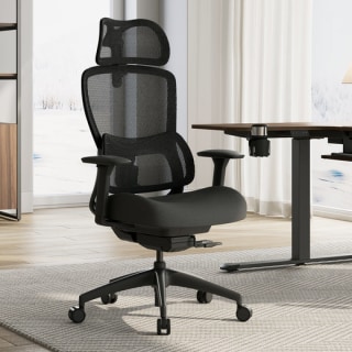 Lark Adjustable Lumbar Ergonomic Office Chair