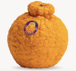Sumo Citrus
