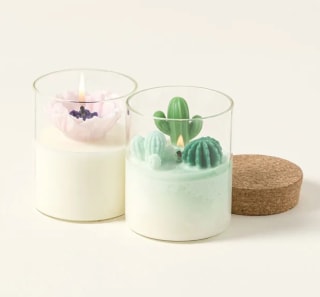 Terrarium Candle