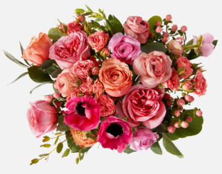 Urbanstems The Dreamscape