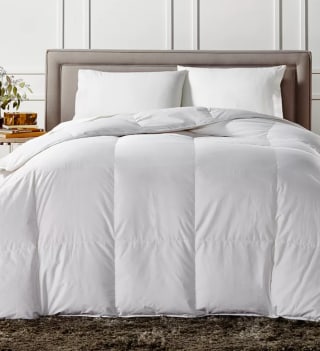 Charter Club White Down Medium Weight Comforter
