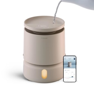 BlueAir DreamWell Humidifier 