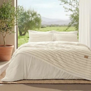 Bedsure Gentlesoft 2-in-1 Queen Comforter Set