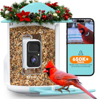 NETVUE Birdfy Smart Bird Feeder