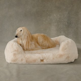 The Lola Pet Bed