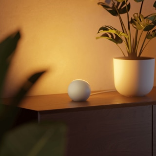 Oasis Single Ambient Light