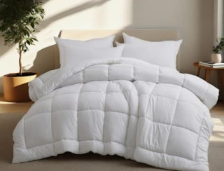 Wayfair Sleep All Season Down Alternative Comforter