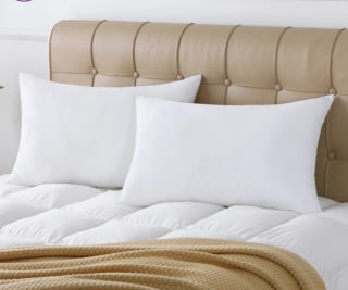 Wayfair Sleep Standard Queen Size Polyester Plush Pillow