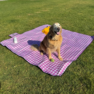 Zaze Extra Large Picnic Outdoor Blanket