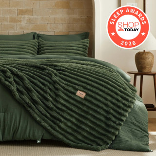 Bedsure Gentlesoft 2-in-1 Queen Comforter Set