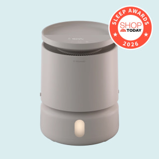 BlueAir DreamWell Humidifier 