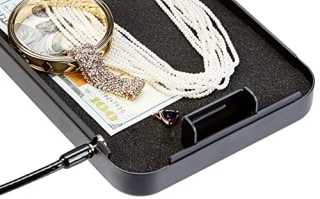 Amazon Basics Portable Security Case