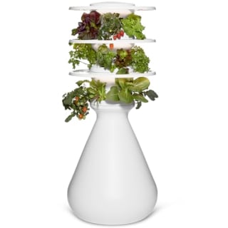 Lettuce Grow The Farmstand