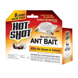 Hot Shot MaxAttrax Ant Bait