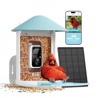 Netvue by Birdfy Smart Bird Feeder