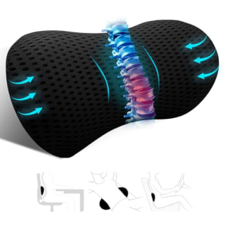 Kasney Lumbar Support Pillow 