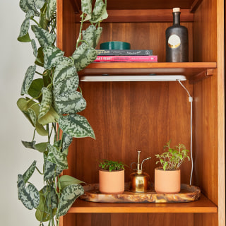 Modern Sprout Tiny Terracotta Garden Kits