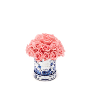 Venus et Fleur Mini Le Plein