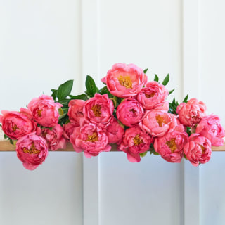 Farmgirl Flowers Twenty Pink Peonies