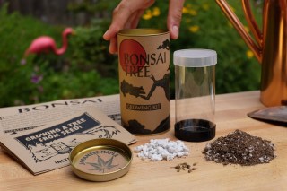 The Jonsteen Company Seed Grow Kits