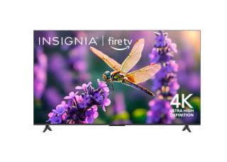 Insignia Class F50 Series 65-Inch TV (2025)