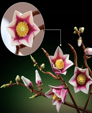 Lego Botanicals Magnolia Branches Building Set