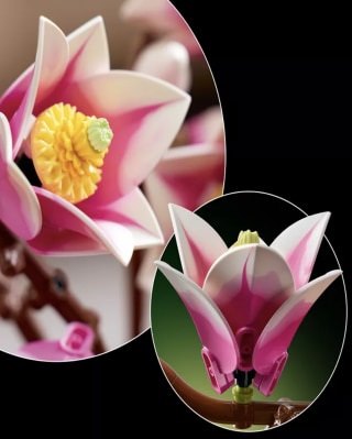 Lego Botanicals Magnolia Branches Building Set