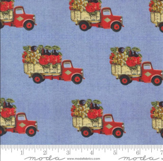 Brooklyn Craft Company Farm and Garden Farm to Market by Moda in Sky