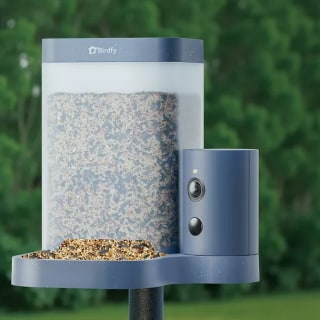 Birdfy Smart Bird Feeder Rookie