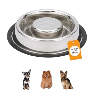 Neater Pet Brands Non-Tip Stainless Steel Slow Feed Bowl