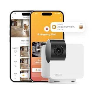 Petcube Cam 360