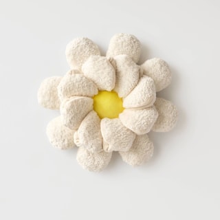 Hooray House Daisy Snuffle Dog Mat