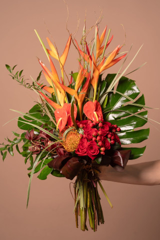The Broquet
