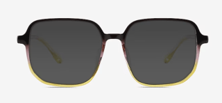Sunlit frames