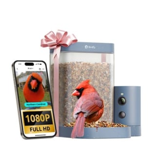 Birdfy Smart Bird Feeder Rookie