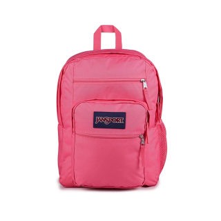 JanSport Big Student Backpack (17.5 Inch)