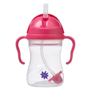 Lansinoh b.box Weighted Straw Sippy Cup