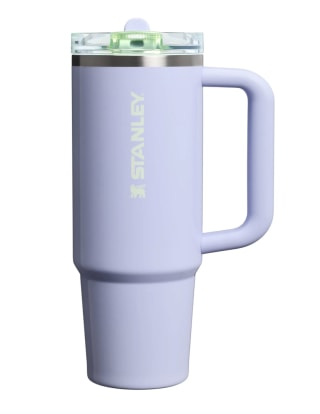 Stanley Quencher ProTour Flip Straw Tumbler