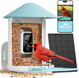 Netvue by Birdfy Smart Bird Feeder
