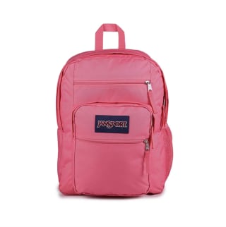 JanSport Big Student Backpack (17.5 Inch)