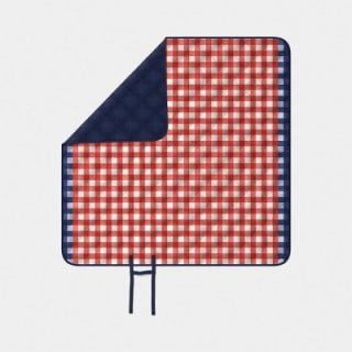 Room Essentials Gingham Portable Picnic Blanket
