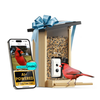 Birdfy Smart Bird Feeder